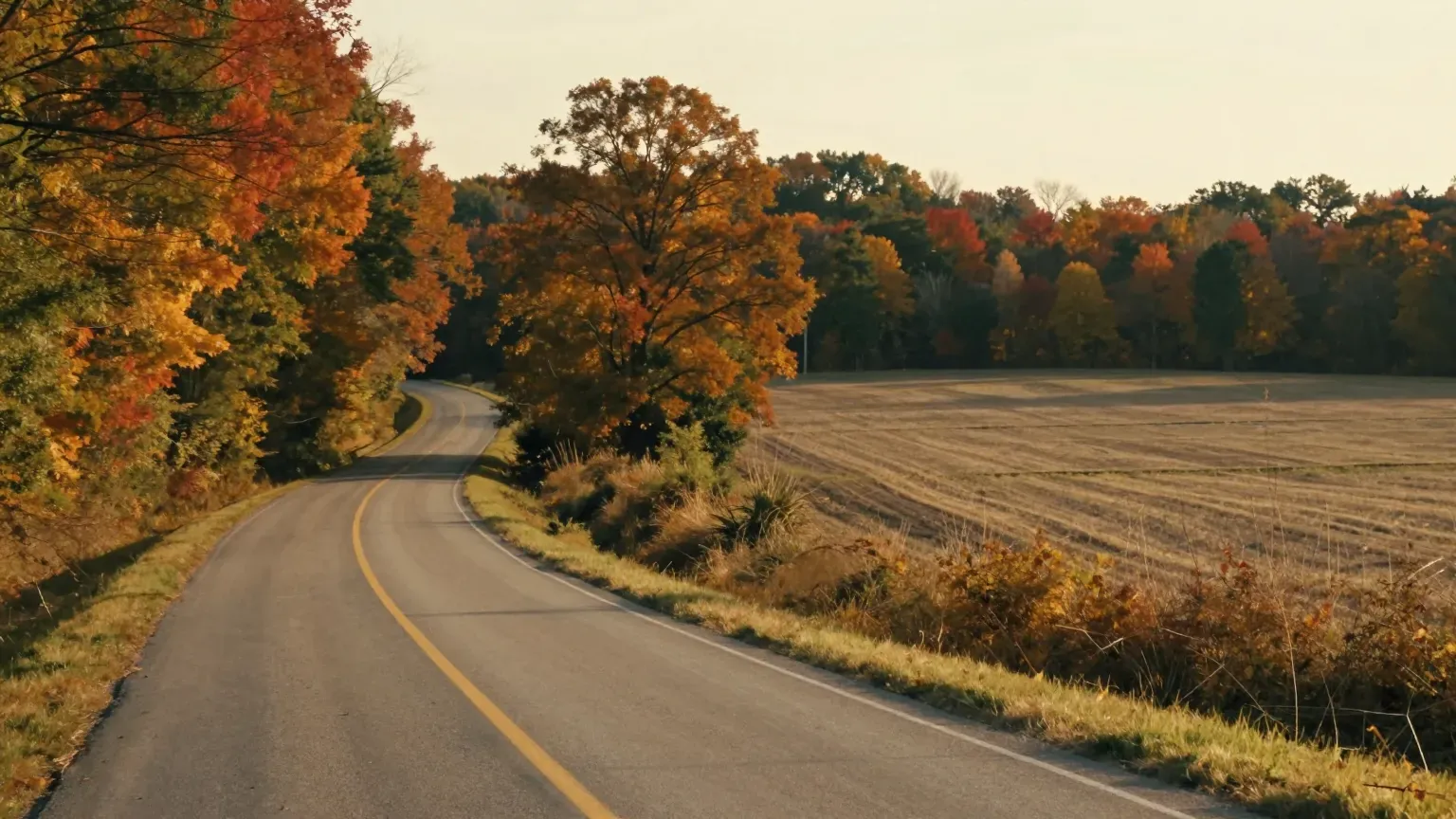 guide header — two roads diverging
